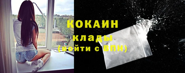 индика Баксан