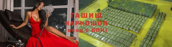 индика Баксан
