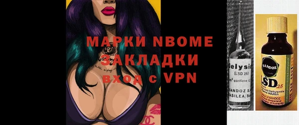 индика Баксан