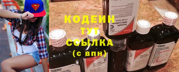 индика Баксан