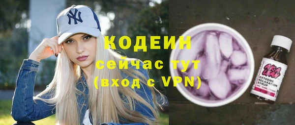 индика Баксан