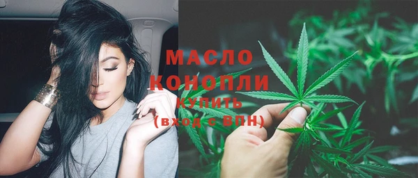 индика Баксан